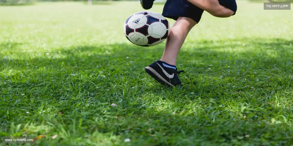 澳洲幸运10官网——🤼‍♀️🌟 十字固降服，银河锁喉！